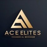 a logo of a company called ace elites commercial upscaled 1